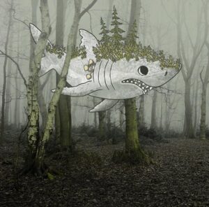 Great-White-Woodland-Shark-copy illustration by Marit Cooper